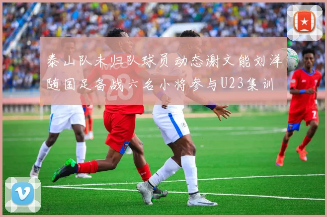 泰山队未归队球员动态谢文能刘洋随国足备战六名小将参与U23集训